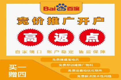 百度推广在电商行业的成功案例